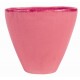 Cup rose