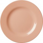 Assiette Melamine Corail pastel petit mod&egrave;le Rice
